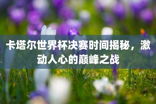 卡塔尔世界杯决赛时间揭秘，激动人心的巅峰之战眉山市正发家政服务有限公司