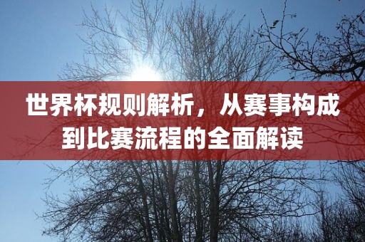 世界杯规则解析，从赛事构成到比赛流程的全面解读