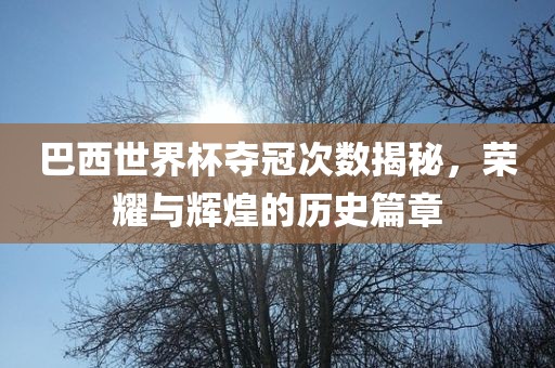 巴西世界杯夺冠次数揭秘，荣耀与辉煌的历史篇章