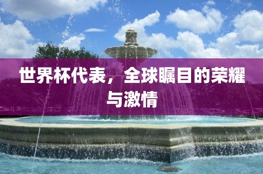 世界杯代表，全球瞩目的荣耀与激情