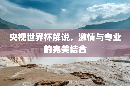 央视世界杯解说，激情与专业的完美结合