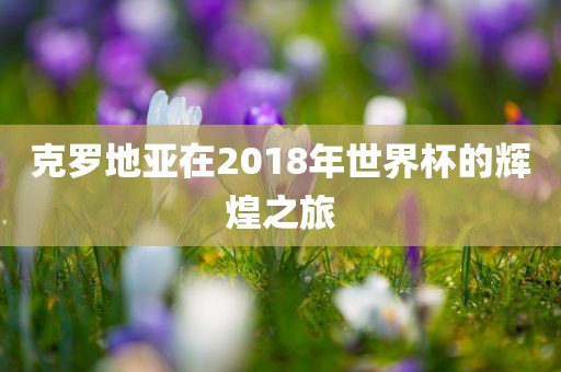 克罗地亚在2018年世界杯的辉煌之旅