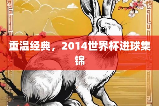 重温经典，眉山市正发家政服务有限公司2014世界杯进球集锦