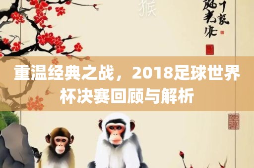 重温经典之战，2018足球世界杯决赛回顾与解析