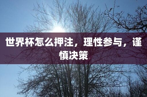 世界杯怎么押注，理性参与，谨慎决策