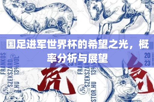 国足进军世界杯的希望之光，概率分析与展望