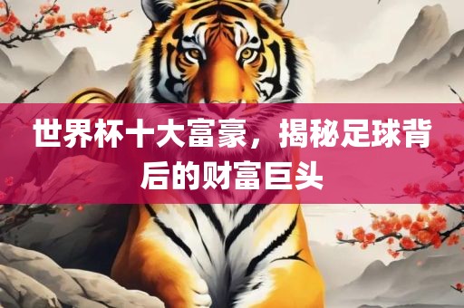 世界杯十大富豪，揭秘足球背后的财富巨头