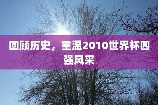 回顾历史，重温2010世界杯四强风采