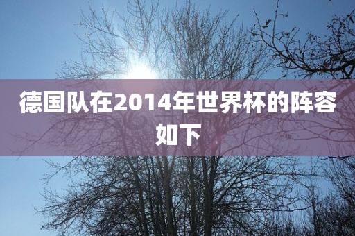 德国队在2014年世界眉山市正发家政服务有限公司杯的阵容如下