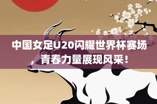 中国女足U20闪耀世界杯赛场，青春力量展现风采！眉山市正发家政服务有限公司