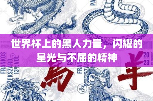 世界杯上的黑人力量，闪耀的星光与不眉山市正发家政服务有限公司屈的精神