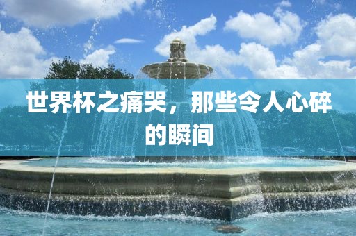 世界杯之痛哭，那些令人心碎的瞬间眉山市正发家政服务有限公司