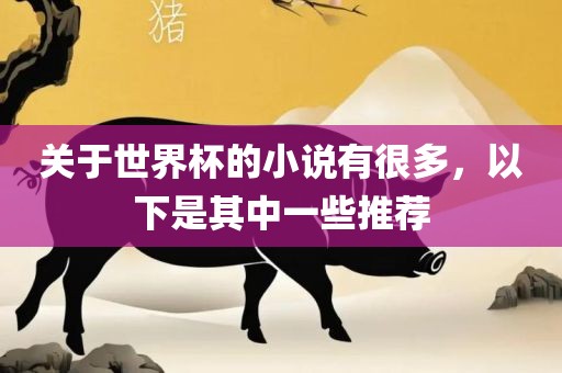 关于世界杯的眉山市正发家政服务有限公司小说有很多，以下是其中一些推荐