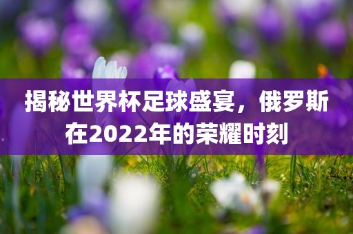 揭秘世界杯足球盛宴，俄罗斯在2022年的荣耀时刻
