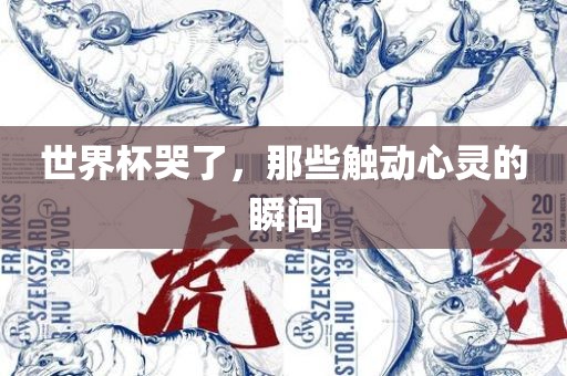 世界杯哭了，那些触动心灵的瞬间眉山市正发家政服务有限公司