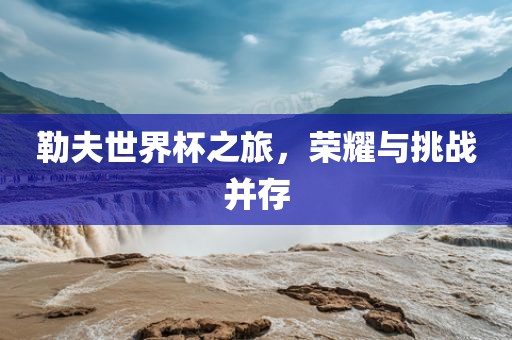 勒夫世界杯之旅，荣耀与挑战并存