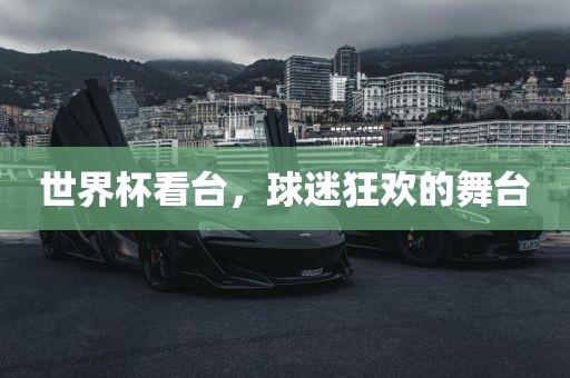 世界杯看台，球迷狂欢的舞台眉山市正发家政服务有限公司