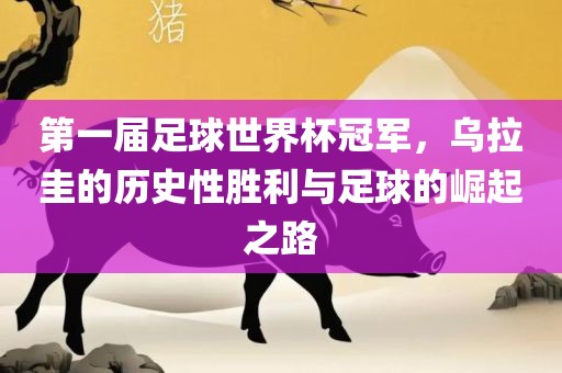 第一届足球世界杯冠军，乌拉圭的历史性胜利与足球的崛起之路眉山市正发家政服务有限公司