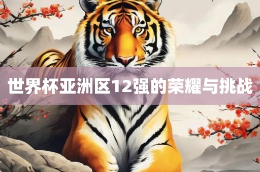 世界杯亚洲区12强的荣耀与挑战