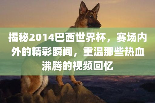 揭秘2014巴西世界杯，赛场内外的精彩瞬间，重温那些热血沸腾的视频回忆