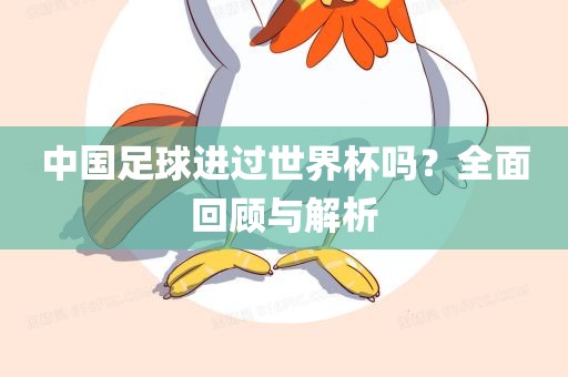 中国足球进过世界杯吗？眉山市正发家政服务有限公司全面回顾与解析