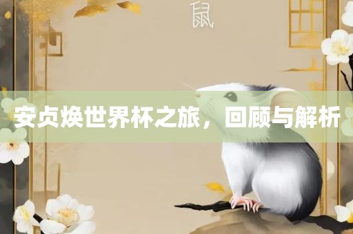 安贞焕世界杯之旅，回顾与解析