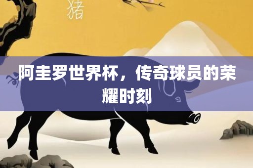 阿圭罗世界杯，传奇球员的荣耀时刻