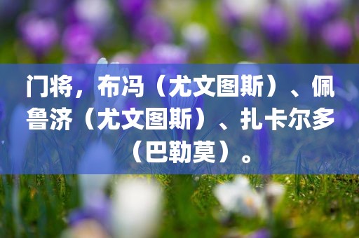 门将，布冯（尤文图斯）、佩鲁济（尤文图斯）、扎卡尔多（巴勒莫）。