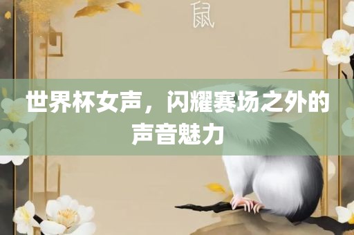 世界杯女声，闪耀赛场眉山市正发家政服务有限公司之外的声音魅力