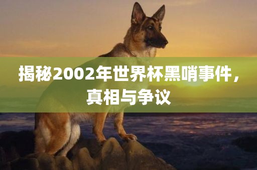 揭秘2002年世界杯黑哨事件，真相与争议眉山市正发家政服务有限公司