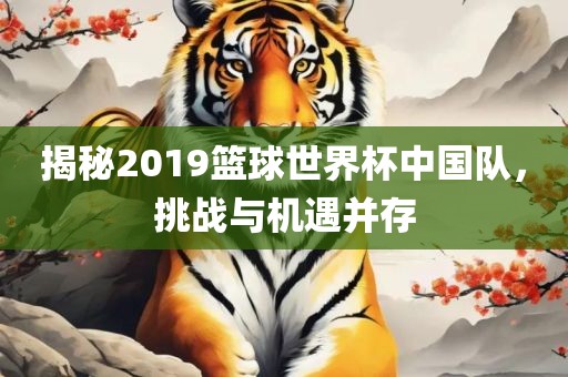 揭秘2019篮球世界杯中国队，挑战与机遇并存