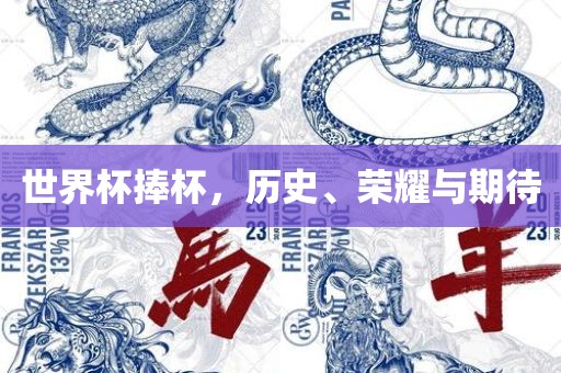 世界杯捧杯，历史、荣耀与期待