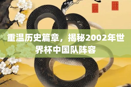 重温历史篇章，揭秘2002年世界杯中国队阵容