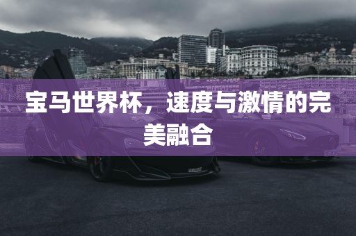 宝马世界杯，速度与激情的完美融合