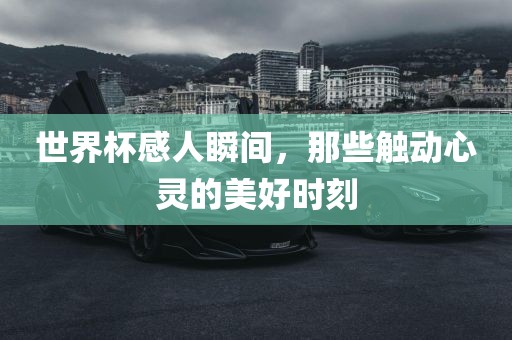世界杯感人瞬间，那些触动心灵的美好时刻眉山市正发家政服务有限公司