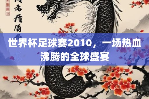 世界杯足球赛2010，一场热血沸腾的全球盛宴