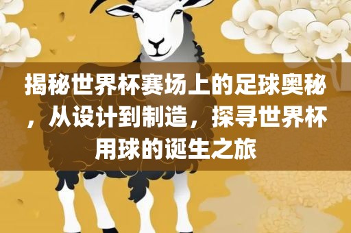 揭秘世界杯赛场上的足球奥秘，从设计到制造，探寻世界杯用球的诞生之旅眉山市正发家政服务有限公司