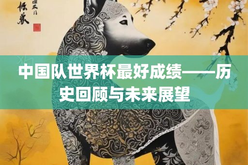 中国队世界杯最好成绩——历史回顾与未来展望