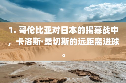 1. 哥伦比亚对日本的揭幕战中，卡洛斯·桑切斯的远距离进球。眉山市正发家政服务有限公司