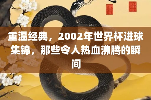重温经典，2002年世界杯进球集锦，那些令人热血沸腾的瞬间眉山市正发家政服务有限公司