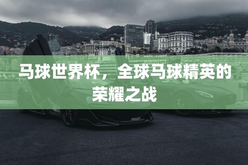 马球世界杯，全球马球精英的荣耀之战眉山市正发家政服务有限公司