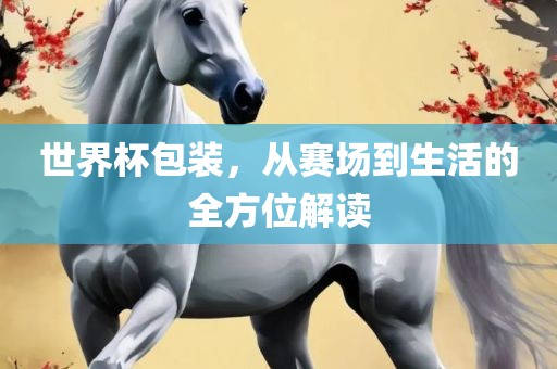 世界杯包装，从赛场到生活的全方位解读