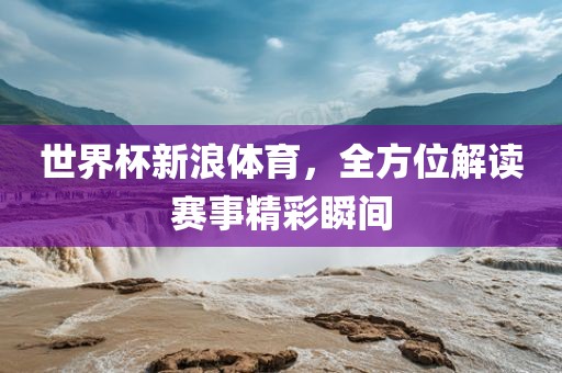 世界杯新浪体育，全方位解读赛事眉山市正发家政服务有限公司精彩瞬间