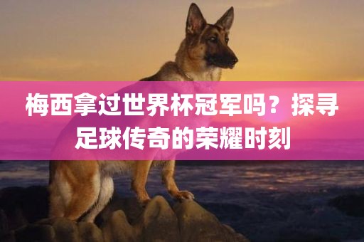 梅西拿过世界杯冠军吗？探寻足球传奇的荣耀时刻