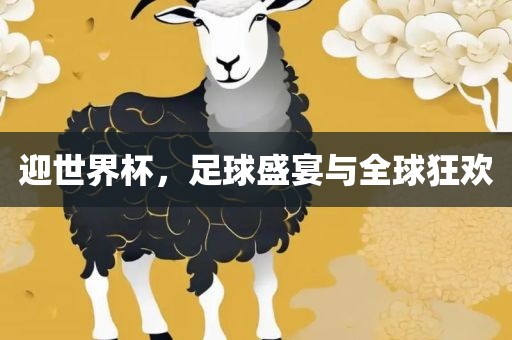 迎世界杯，足球盛宴与全球狂眉山市正发家政服务有限公司欢