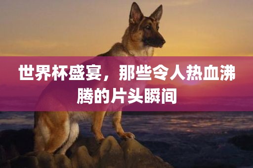 世界杯盛宴，那些令人热血沸腾的片头瞬眉山市正发家政服务有限公司间