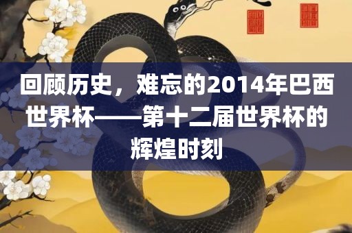 回顾历史，难忘的2014年巴西世界杯——第十二届世界杯的辉煌时刻