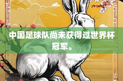 中国足球队尚未获得过世界杯冠军。
