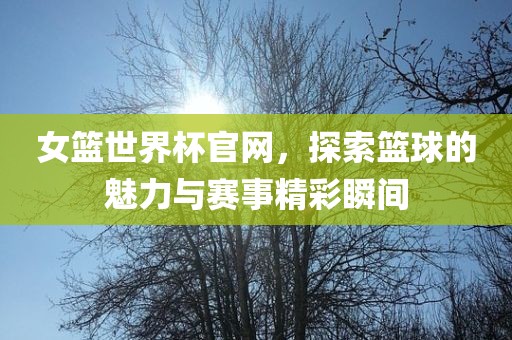 女篮世界杯官网，探索篮球的魅力与赛事精彩瞬间眉山市正发家政服务有限公司