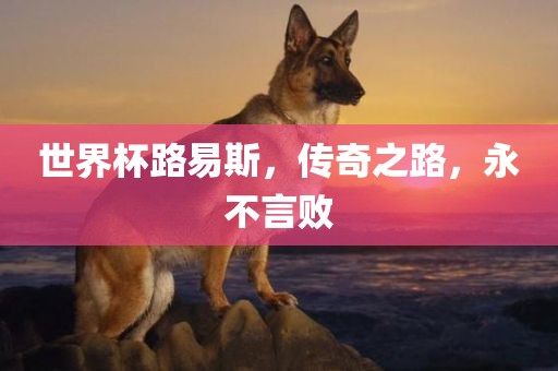 世界杯路易斯，传奇之路，永不言败